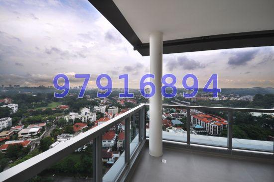 Fifteen Robin (D10), Condominium #65972892